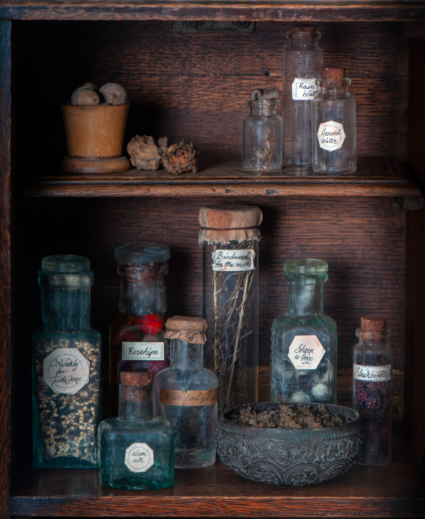 a close-up of inside the cabinet. There are glass jars and containers. Most have a label on the front. One says "Bindweed for the moths". Another is filled with a mixture of seeds and the label says "3x weekly for Turtle Doves". Some of the containers have berries in them. There's a dish of soil near the front.