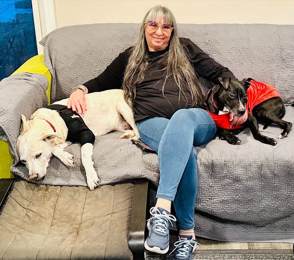 a woman with long grey hair wearing glasses, jeans and a black jumper, sits on a large sofa with a grey throw over it. A light coloured dog wearing a shoulder support on her right and a smaller black dog with a red jumper on on her right.