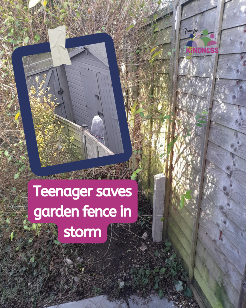a photo of a garden fence looking strong and sturdy, inlaid is another photo of the fence from above with a folded down washing line leaning against it. Text overlaid reads “Teenager saves garden fence in storm.”