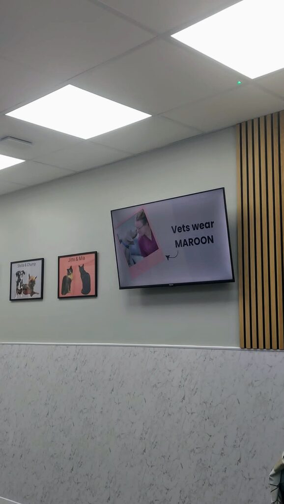 A screen mounted on a wall which shows a photo of staff wearing maroon alongside text saying "vets wear maroon." Beside the screen are photos and names of pets.