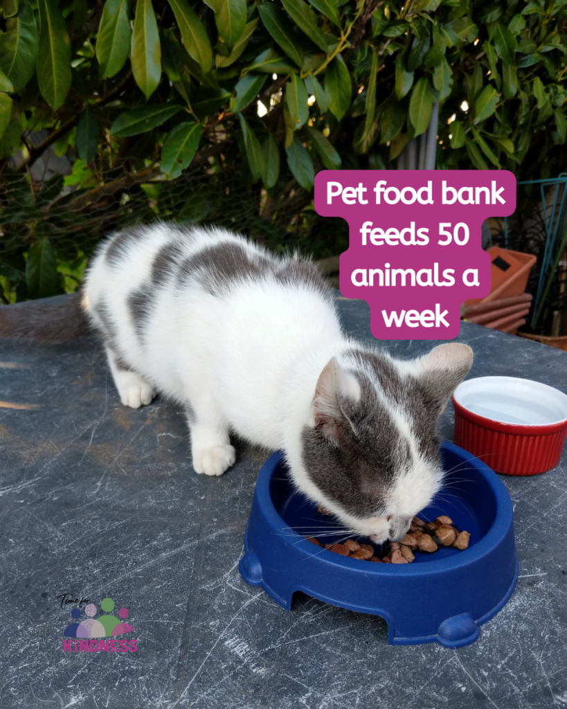 a white and grey kitten sitting on a table eating some wet cat food out of a bowl larger than its head. A small bowl of water beside it. Text overlaid reads “pet food bank feeds 50 animals a week.”