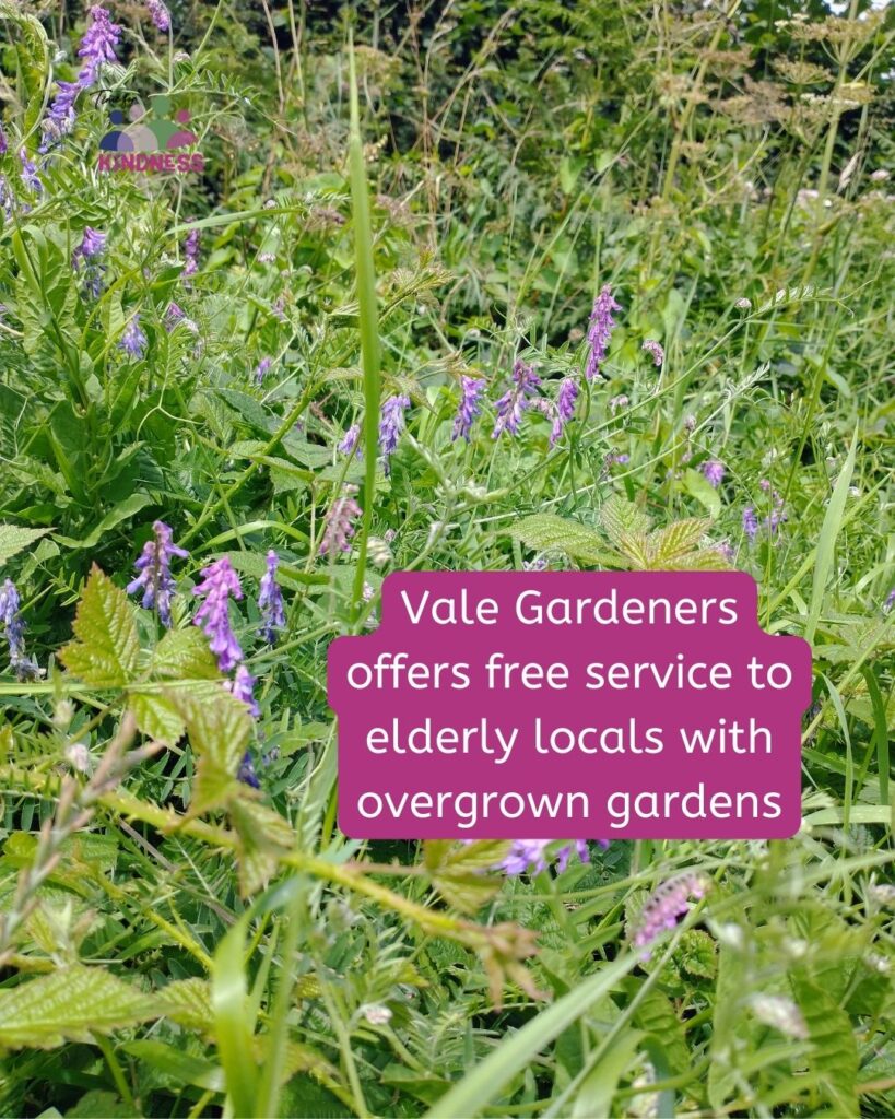 An overgrown patch of grass, brambles, and bluebells. Text overlaid reads “Vale Gardeners offers free service to elderly locals with overgrown gardens.”