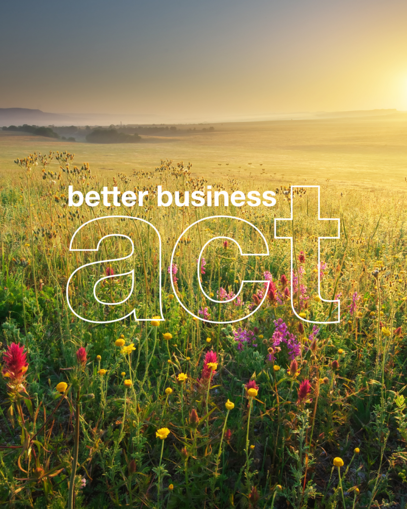 A landscape of tall grasses and colourful plants in the foreground which gives way to golden fields as the sun sets over them. Overlaid is white text reading “better business act.”