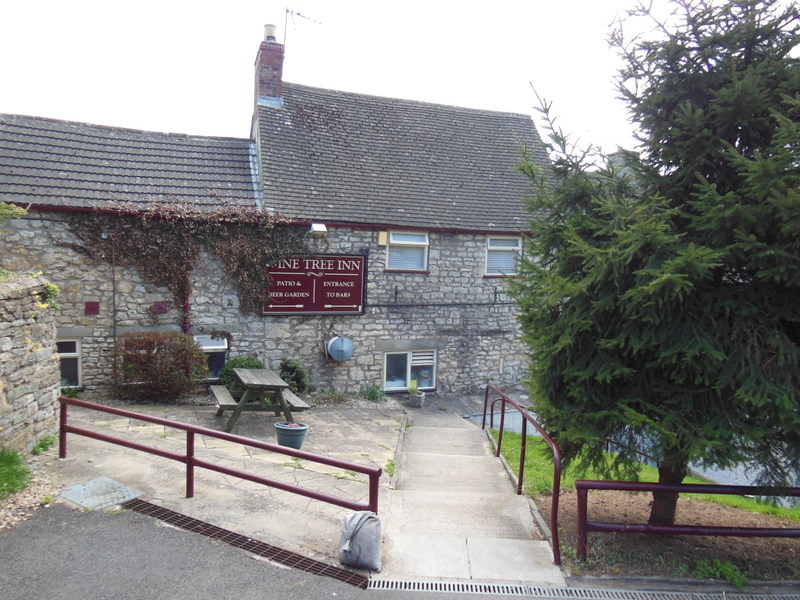 The Vine Tree Inn viewed from outside, there is a large tree beside the path to the Inn. The inn itself is a grey stone building with ivy growing over part of it and a burgundy sign on the wall.