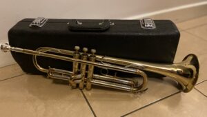 a trumpet sitting beside it’s case on a tiled floor