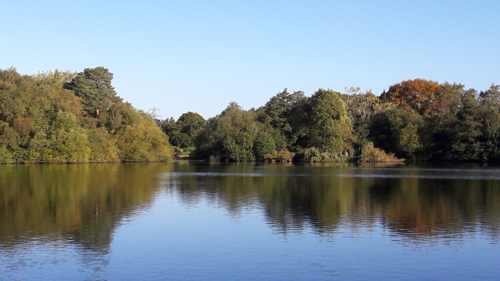 a large, beautiful lake stretches out towards a forest in the distance. The sky above is light blue.