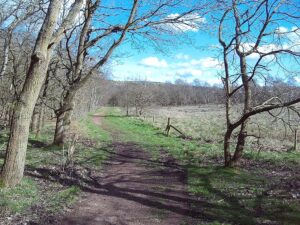 a footpath with a woodland to the left and fields to the right. The sky above is blue and scattered with some fluffy white clouds.