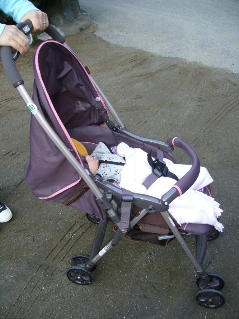 a baby in a purple stroller.