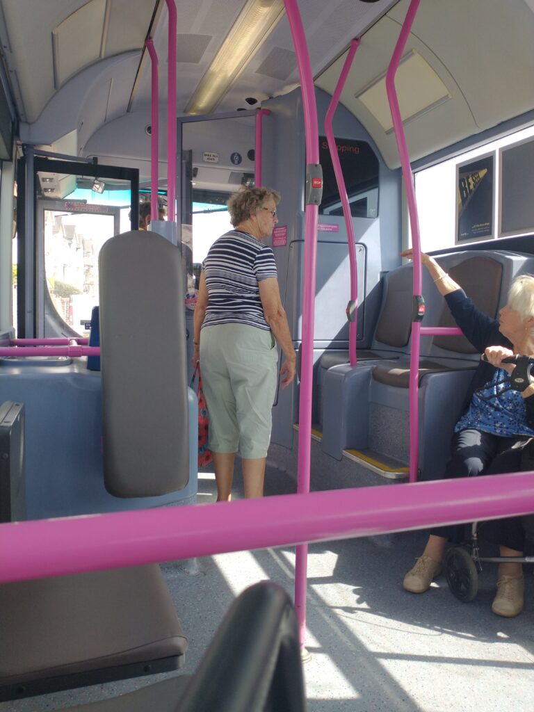 a view from inside a bus, the poles are pink and an elderly woman is sat to the right holding one while talking to another woman who is standing up near the bus driver and looking at her.