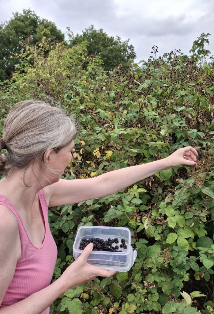 Sarah, a woman with light skin tone and long brown hair tied back wearing a strappy pink top standing beside a huge blackberry bush reaching over to pick some.