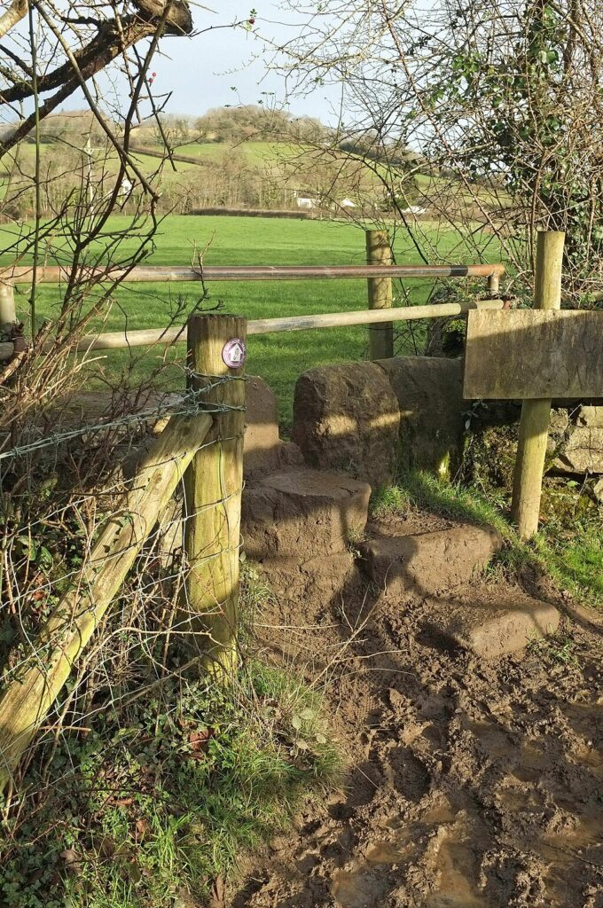 A stone stile going from a muddy section of the Dartmoor Way to a grassy field.