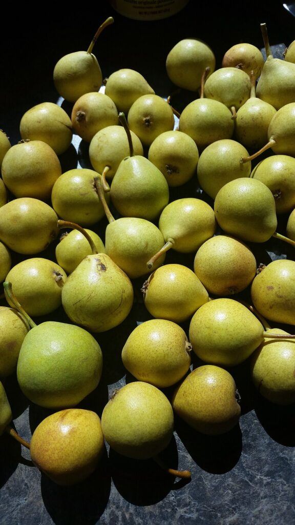 many green pears laying all together on a black surface.