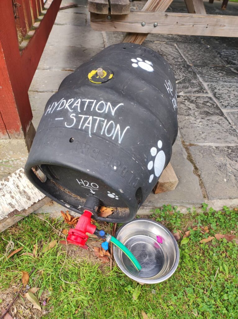 a medium sized black barrel with a mini hose fitted to the tap which goes into a metal dog bowl on the floor. The barrel is decorated with paw prints and has “hydration station,” “H2O” and “H2O for your doggo” written on it.