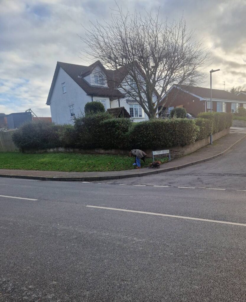 A view across a road towards a road that goes up into a row of houses. On the corner someone is bending over to pick something up with two dogs on leads beside them