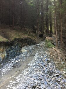 a bike trail at Dyfi bike park through a forest with tall trees either side of a path which has shale either side of it.