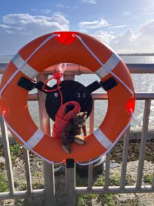 an emergency life float attached to a metal railing on which sits a small toy cat. The sun is shining on a blue day lighting up the water behind it.
